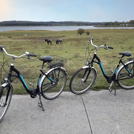 Preetz 1a - Idylle Unter Reet 컨트리하우스 *