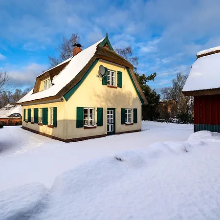 Preetz 1a - Idylle Unter Reet