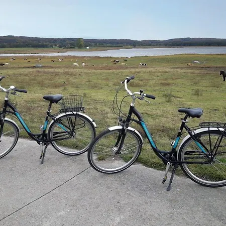 Preetz 1a - Idylle Unter Reet 컨트리하우스 Burtevitz