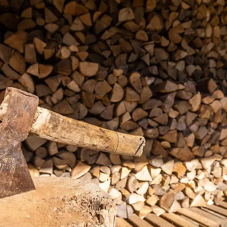 Preetz 1a - Idylle Unter Reet 컨트리하우스 Burtevitz