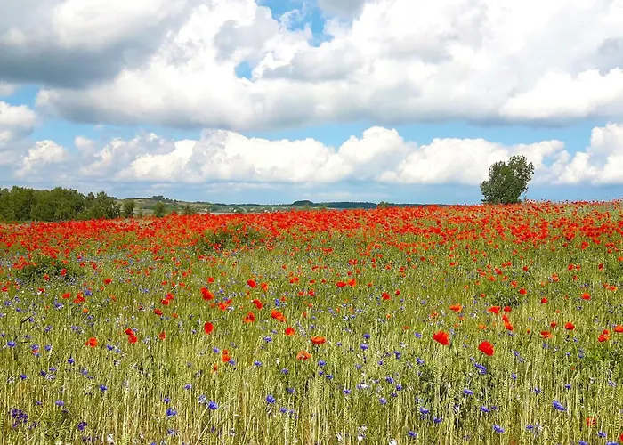 Preetz 1a - Idylle Unter Reet Gospodarstwo wiejskie Burtevitz