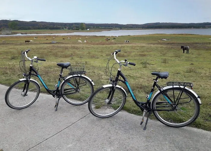 Preetz 1a - Idylle Unter Reet Gospodarstwo wiejskie Burtevitz